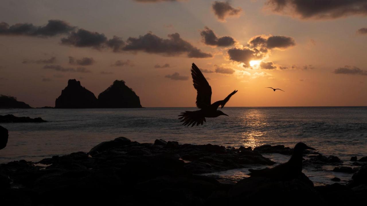 Pousada Naonda Fernando de Noronha Esterno foto